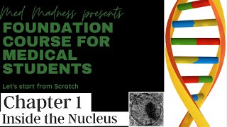 Genetics amp Biochemistry Basics  MM Foundation Course for Medical Students  Chapter 1 Nucleus [upl. by Yannodrahc]