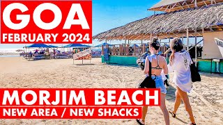 Morjim Beach  February 2024  Goa Vlog  North Goa  Famous Russian Beach  Shacks amp Prices [upl. by Cand]