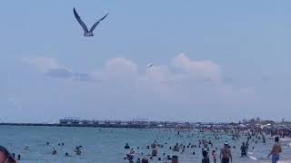 B2 Stealth Bomber flies over Miami Beach 53021 [upl. by Isacco]