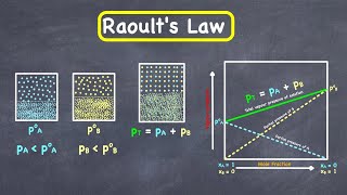 Raoults law [upl. by Pavier778]