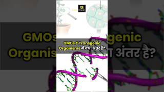 Transgenic Organisms vs GMOs  NEET 2025 Biology shorts  Dr Ronak Maam [upl. by Gyasi152]