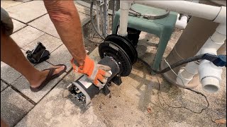 How to Remove a Century HSQ165 Pool Pump Motor from StaRite DuraGlas Housing [upl. by Weiler571]