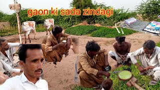 Gaon ki sada zindagi  ruralvillagelife in Pakistan  Fareed vlog 202 [upl. by Oizirbaf]