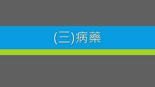 【八字 bazi有字幕】三病藥 [upl. by Marchelle]