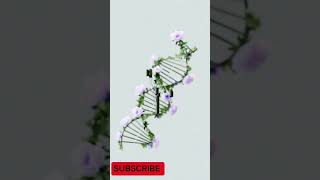 DNA Structuresciencefactsshortsscience [upl. by Layor]