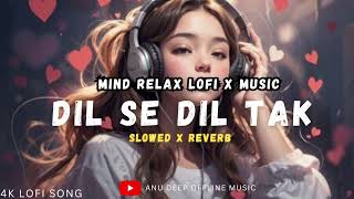 💕Mind Relaxing Songs 2024  Mind Relax Lofi Mashup 2024  Mind Relaxing Music  Anu Deep Tirkey [upl. by Ydnat]