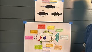 Fish Anatomy parts and it’s functions [upl. by Terbecki]