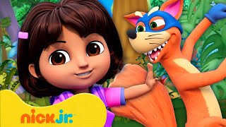 Dora  ¡Los Robos Más Astutos de Swiper 🦊 2  20 Minutos  Nick Jr en Español [upl. by Sibyl]