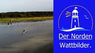 🔵 Wattbilder aus Cuxhaven [upl. by Stanwin]