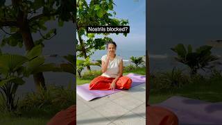 Blocked nostrils sahithiyoga cold cough [upl. by Eelrefinnej]