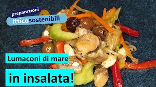 Insalata di Lumaconi [upl. by Laddie]