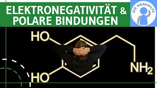 Elektronegativität amp polare Bindungen  Definition Elektronegativitätsdifferenz amp Beispiele erklärt [upl. by Nnaj523]