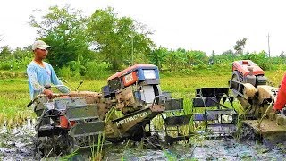 Yanmar Diesel Two Wheel Walking Tractor Tilling Farm Field Kulon Progo [upl. by Nodanrb]