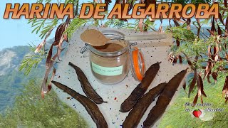 Haz tu propia Harina de ALGARROBA [upl. by Keverne]