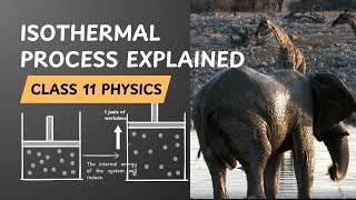 Isothermal Process keeping the Temperature Constant I Class 11 Physics [upl. by Ativet748]