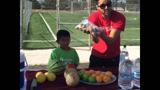 Ole Soccer Nutrition amp Wellness Program [upl. by Darrey551]