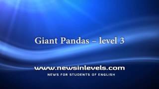 Giant Pandas – level 3 [upl. by Htir]