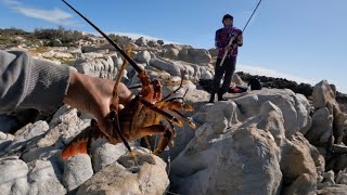 False Bay fishing off the rocks Catch amp Cook [upl. by Kapor]