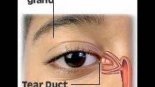 Bells Palsy  Protect Your Eyes  Punctal Plugs [upl. by Earissed]