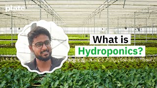 What is hydroponics  Hydroponic farming explained [upl. by Stuckey384]