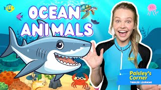 Toddler Learning  Learn Ocean Animals  Educational Videos for Kids  Learning Videos for Toddlers [upl. by Warrin408]