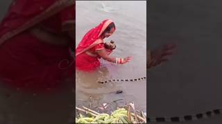 Chhath Ghat per saamp aa Gaya shorts [upl. by Dorion]