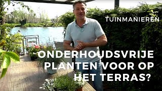 Onderhoudsvrije planten op het balkon Welke planten zet je op een balkon met zon weinig aandacht [upl. by Soll]