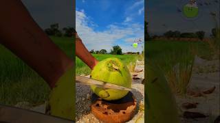 Eye comfort satisfying cutting coconut [upl. by Cristi902]