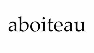 How to Pronounce aboiteau [upl. by Adnoma]