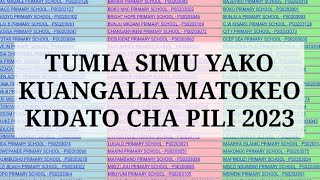 NECTA TAZAMA HAPA MATOKEO YA FORM TWO 202324 FTNA Results jinsi ya kupata matokeo [upl. by Mandell500]