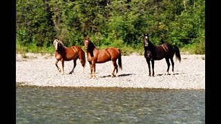 Kechika and Turnagain Rivers [upl. by Nirret]