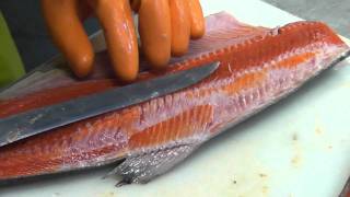 How to professionally fillet a salmon [upl. by Kariv]