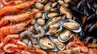 AmnesiaCausing Microorganisms Found in Luzon Shellfish [upl. by Enomis896]