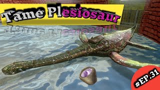 Tame plesiosaur  Ark survival evolved mobile EP31 [upl. by Hinkel643]