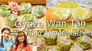 TEIG FÜR WAN TAN GYOZA DIM SUM selber machen [upl. by Burris697]