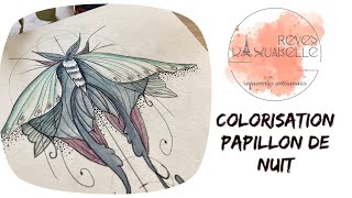 Colorisation aquarelle dessin papillon de nuit pas à pas Rêves d’aquarelle Jardin d’hiver [upl. by Lasonde]