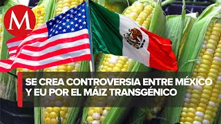 México revoca la restricción al maíz transgénico con Sofía Ramírez Aguilar [upl. by Bocyaj]