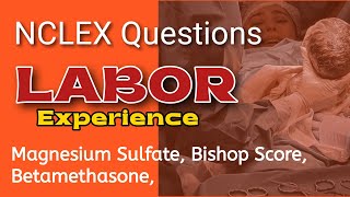 Pregnancy Labor Experience  Nclex Questions and Answers  NCLEX Practice Test [upl. by Hendrick717]