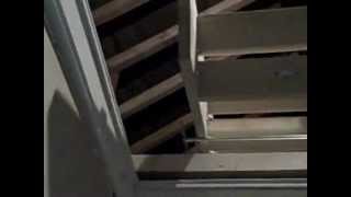 Abru 34004  Timber sliding 2 section stowaway loft ladd0001wmv [upl. by Neitsirk]