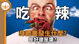 吃辣對身體產生的激烈反應，實際上是發生了甚麼呢 繁中字幕 [upl. by Melise39]