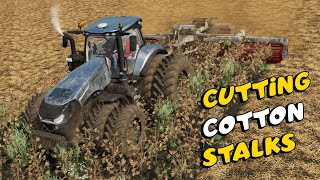 Cutting Cotton Stalks  Farming Simulator 22 [upl. by Senhauser]