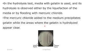 Gelatinase hydrolysis Test [upl. by Notsag]