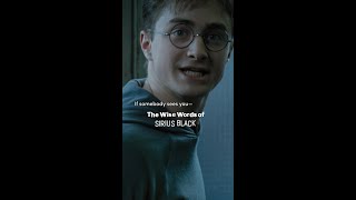 Scorpio Season Sirius Black edition HarryPotter SiriusBlack [upl. by Yasmine]