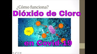 Dióxido de cloro contra COVID19 ¿funciona Esto dice la evidencia científica [upl. by Fortna]