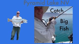 Pyramid Lake Nevada trolling for Lahontan Cutthroat Trout tips fairplayfishing [upl. by Og]