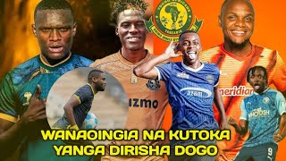 🔴usajili wa yanga dirisha dogo msimu huu 202425 [upl. by Lamarre]