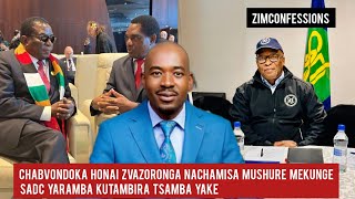 Chabvondoka Honai Zvazoronga NaChamisa Mushure Mekunge SADC Yaramba Kutambira Tsamba Yake [upl. by Ahsinaw]