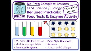 Required Practicals Food Tests and Effect of pH on Amylase Enzymes  AQA GCSE Science  Biology [upl. by Leelah]