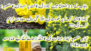 OilSeed Crops Subsidy  How much Subsidy at Canola Model Farm  Kisan ki Baat  Canola Production [upl. by Chu]