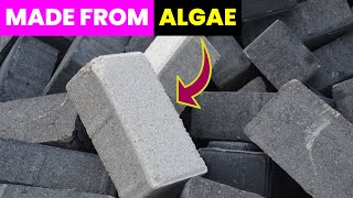 EcoFriendly Cement Made from Algae  Future Technology amp Science News 183 [upl. by Dera]